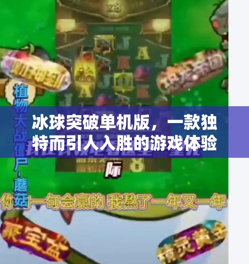 冰球突破单机版，一款独特而引人入胜的游戏体验,冰球突破单机版