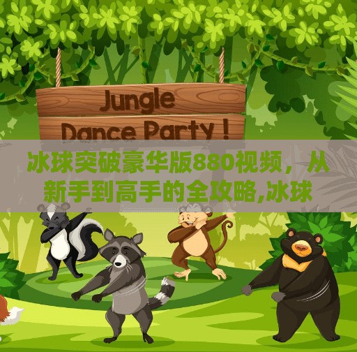 冰球突破豪华版880视频，从新手到高手的全攻略,冰球突破豪华版880视频