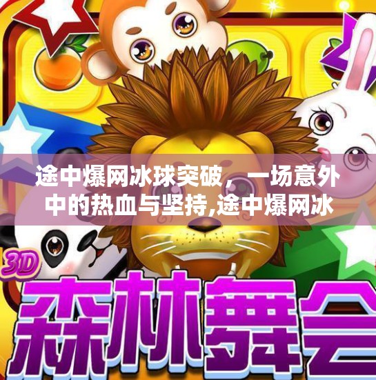 途中爆网冰球突破,一场意外中的热血与坚持,途中爆网冰球突破 途中爆网冰球突破,一场意外中的热血与坚持,途中爆网冰球突破