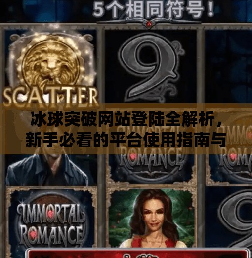 冰球突破网站登陆全解析，新手必看的平台使用指南与风险提示,冰球突破网站登陆