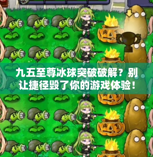 九五至尊冰球突破破解?别让捷径毁了你的游戏体验!九五至尊冰球突破破解 九五至尊冰球突破破解?别让捷径毁了你的游戏体验!九五至尊冰球突破破解